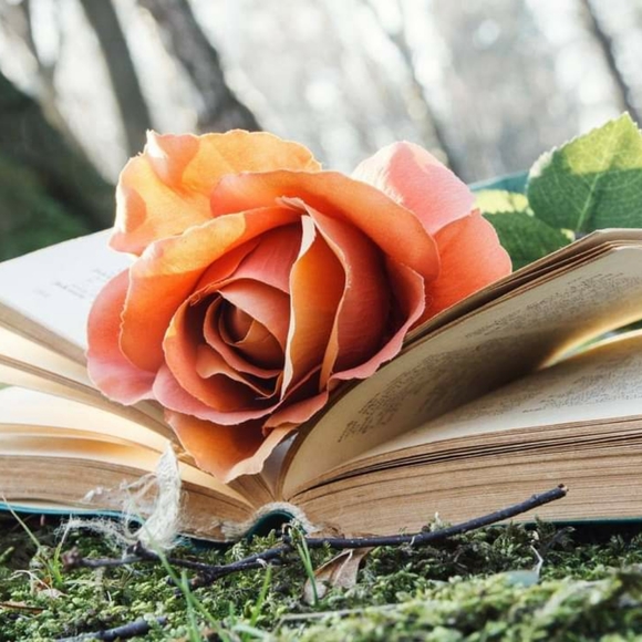 Welcome to my Poshmark closet! - Picture 3 of 3